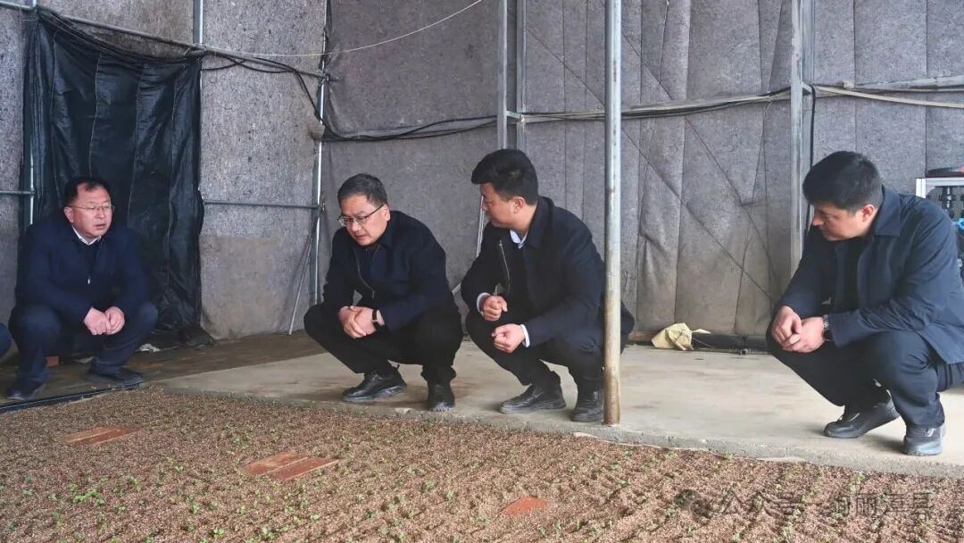 ����ΰ�����������䵱����ж���ũҵ��ҵ����